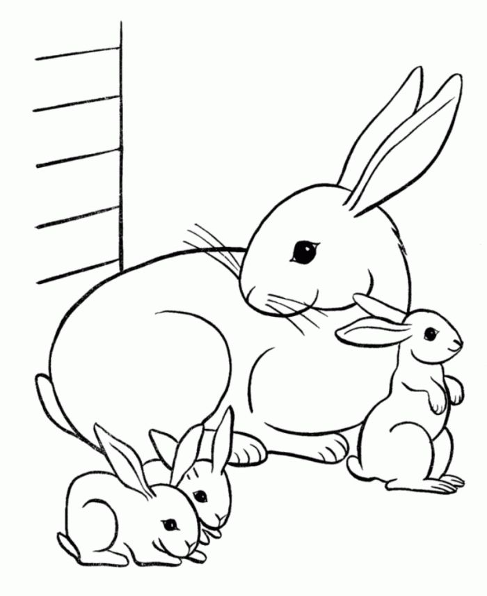 Rabbit Coloring