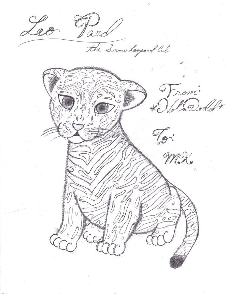 Snow Leopard Cub Coloring Pages