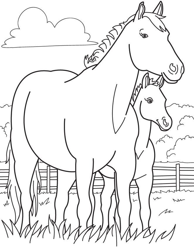 Baby Horse Coloring Pages