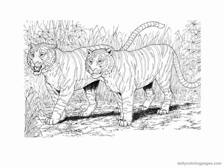 Realistic Coloring Pages