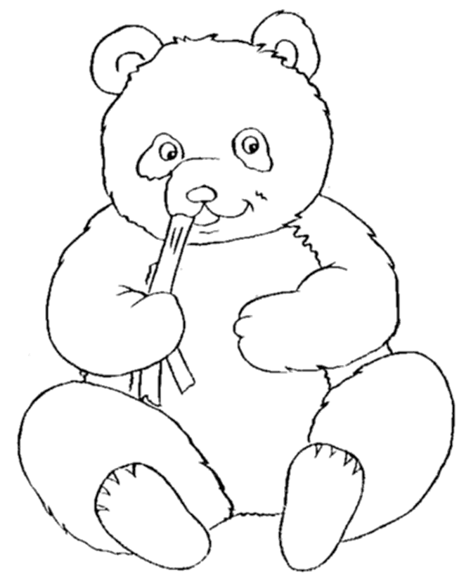 Panda Coloring