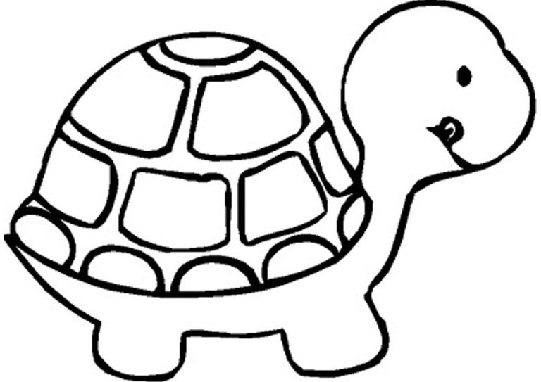 Turtle Coloring