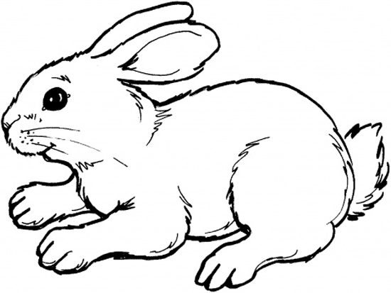 Bunny Coloring Pages