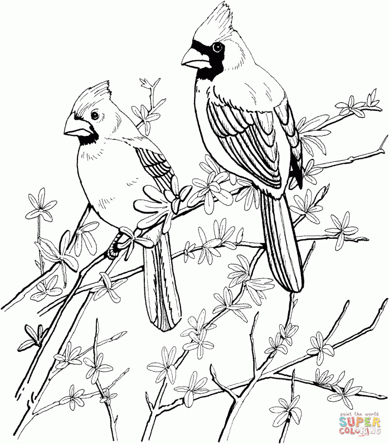 Winter Cardinal Coloring Page