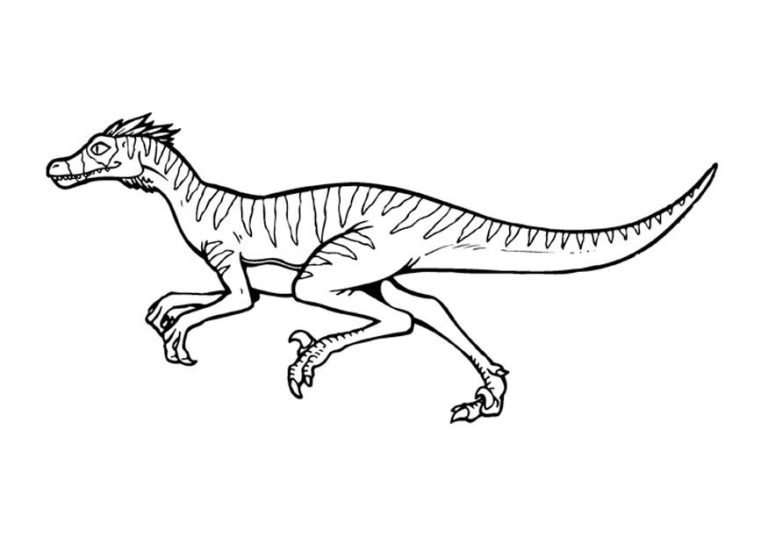 Velociraptor Coloring Pages