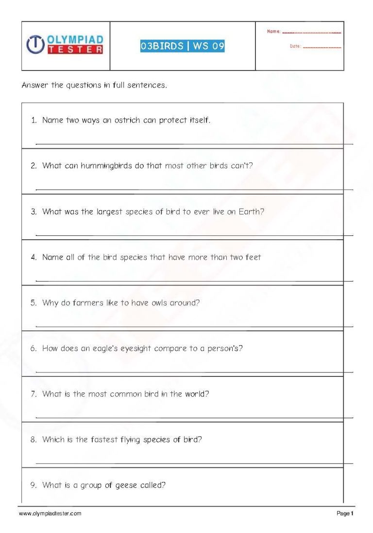 Worksheet For Class 3