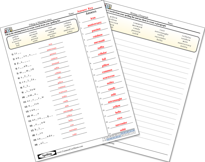 Common Core Sheets Daily Review Answer Key