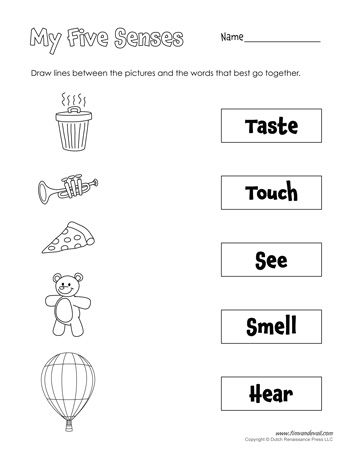 5 Senses Worksheets