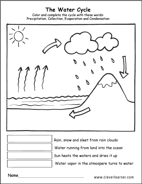 Water Cycle Diagram Worksheet