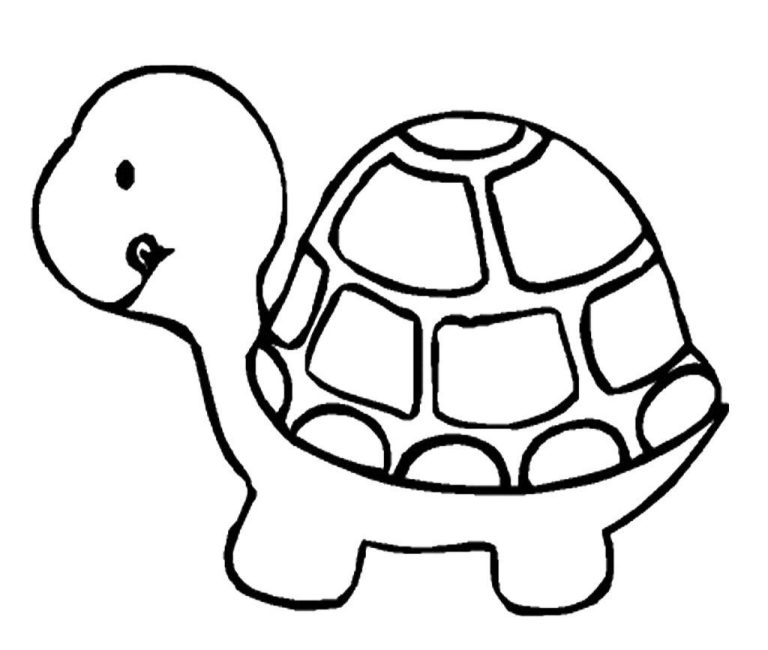 Turtle Pictures To Color