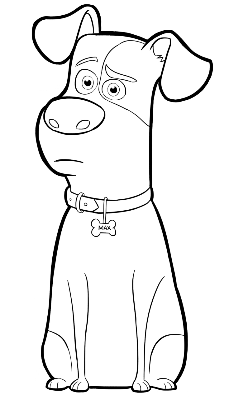 Pet Coloring Pages