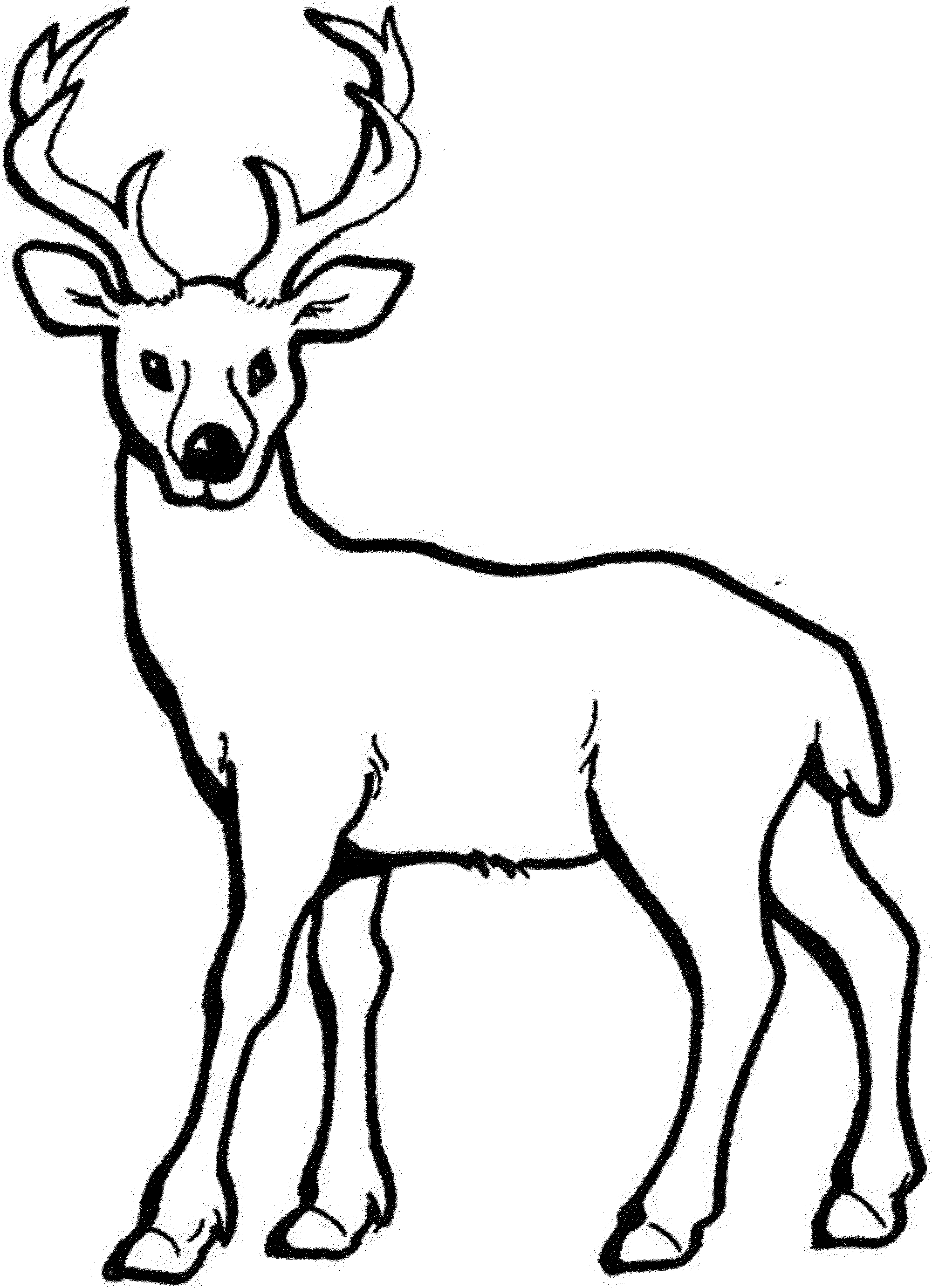 Deer Coloring Pages Printable Free