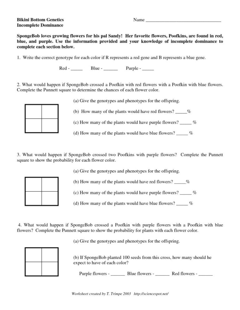 Incomplete Dominance Worksheet