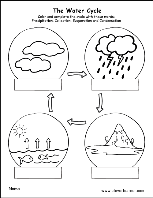 Water Cycle Worksheet