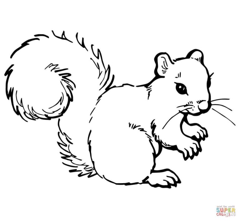 Squirrel Coloring Page