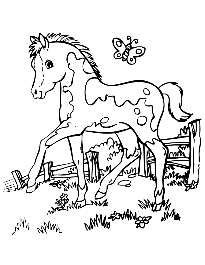 Printable Horse Coloring Pages