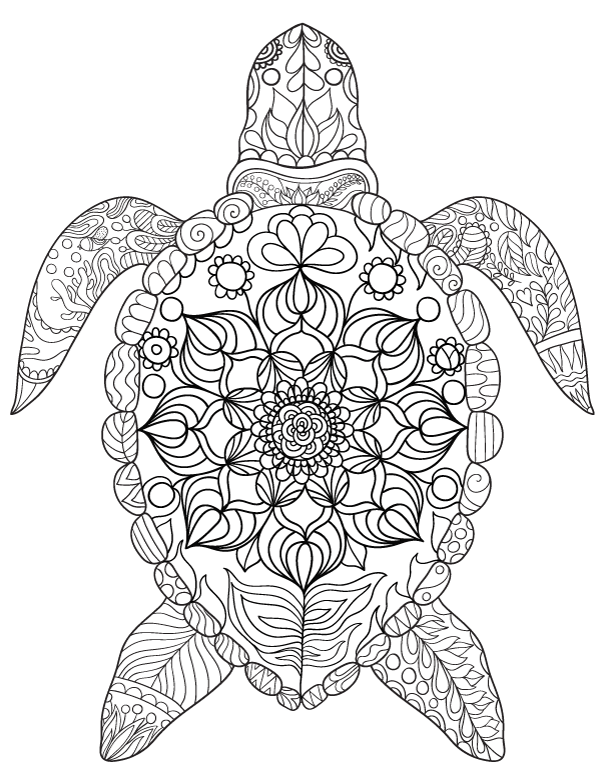 Sea Turtle Coloring Page