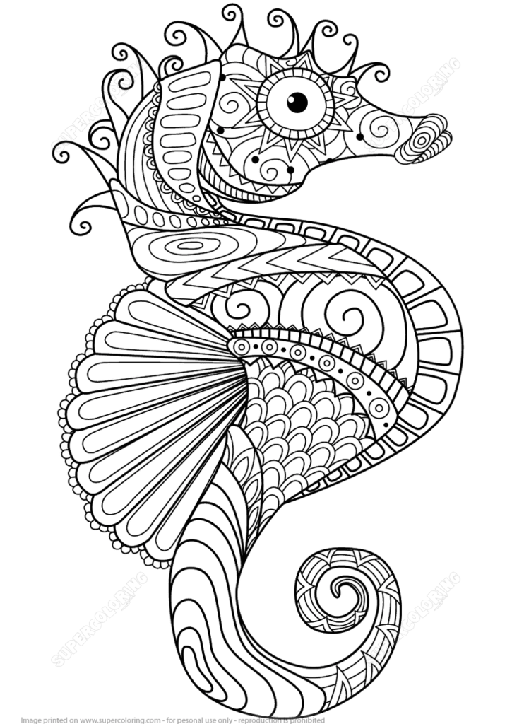 Seahorse Coloring Page