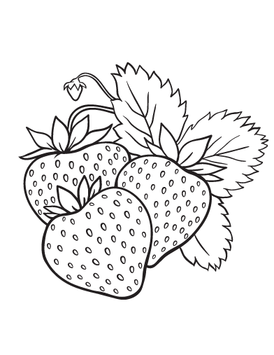 Strawberry Coloring Page