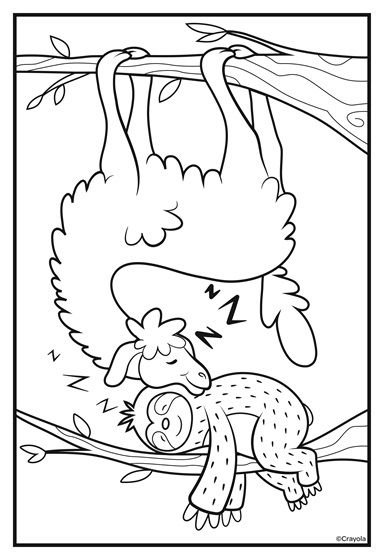 Sloth Coloring Page