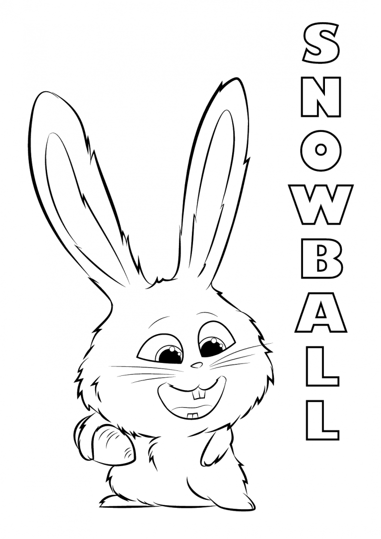 Secret Life Of Pets Coloring Pages