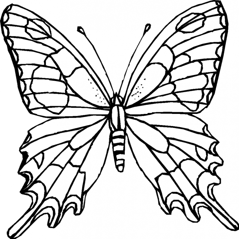 Monarch Butterfly Coloring Pages