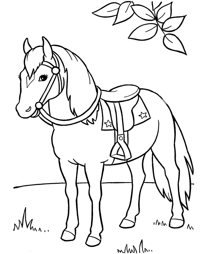 Horse Coloring Pages