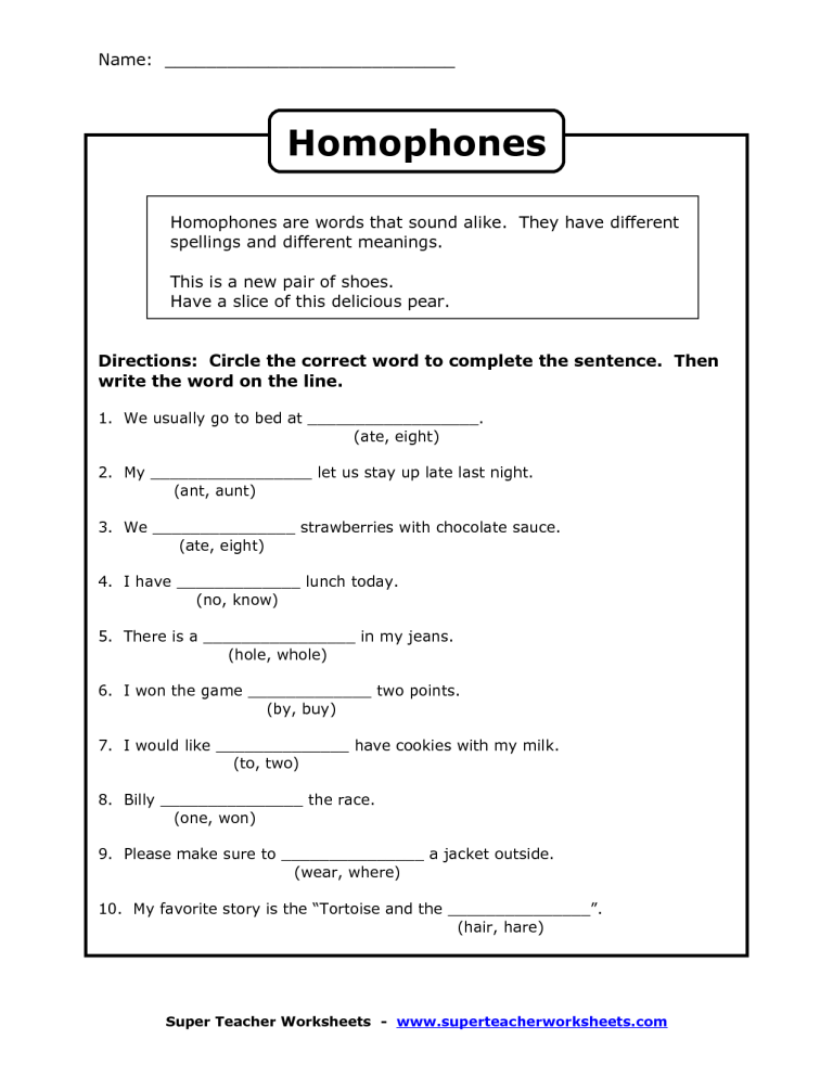 Homophones Worksheet