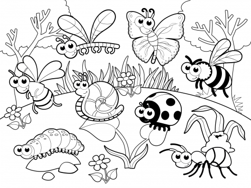 Bug Coloring Pages