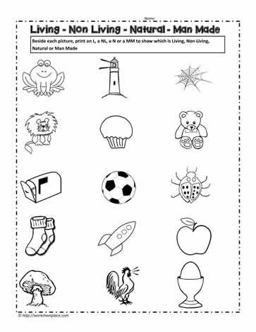 Living Things And Non Living Things Worksheet