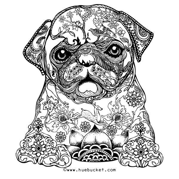 Pug Coloring Pages