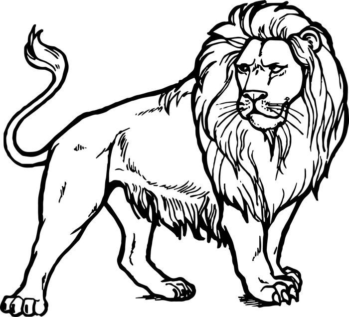 Lion Coloring Pages