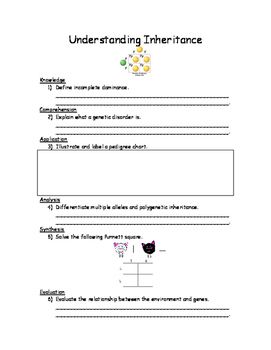 Incomplete Dominance Worksheet