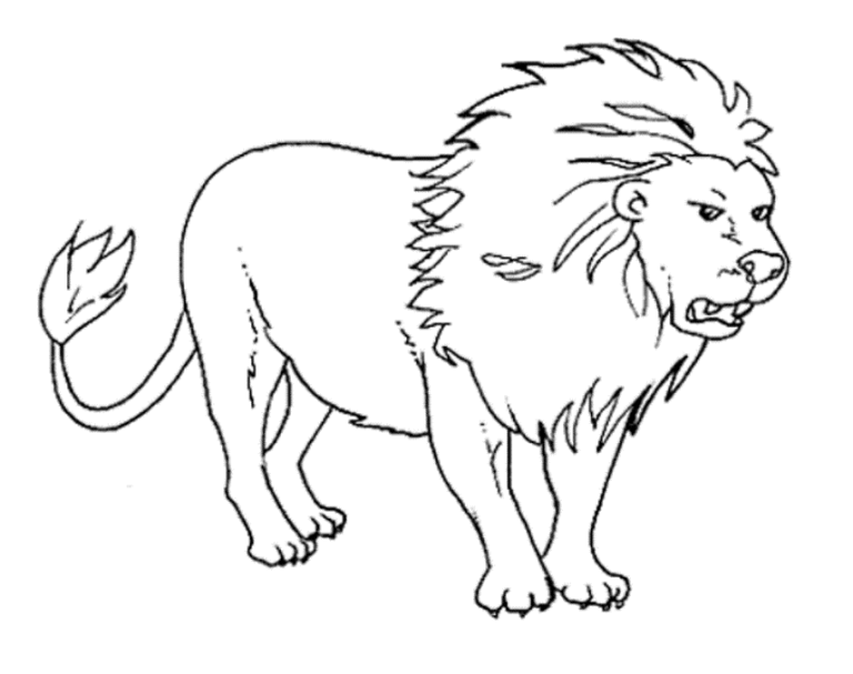 Wild Animal Coloring Pages