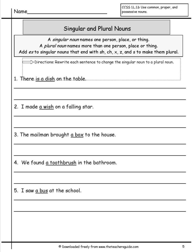 Singular And Plural Nouns Sentences Worksheets