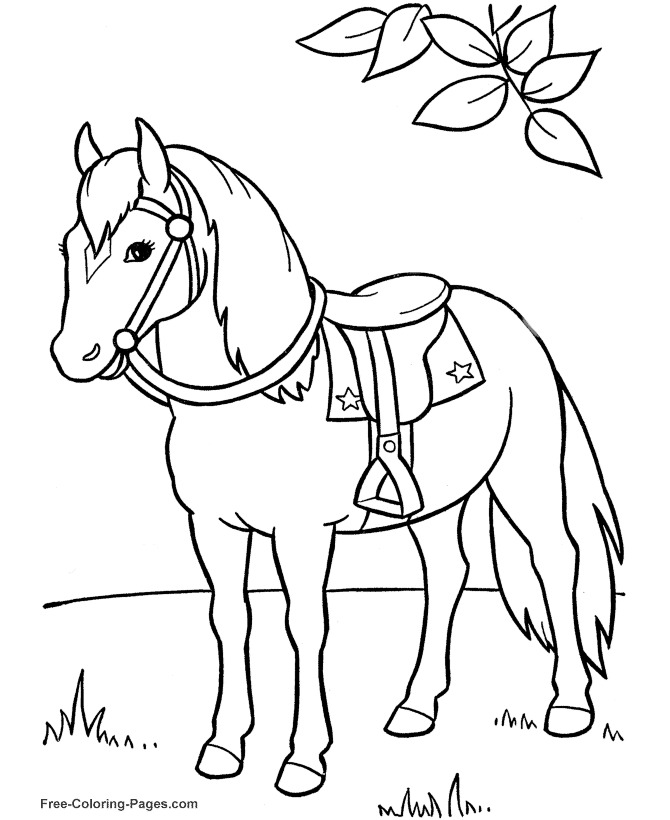 Horse Coloring