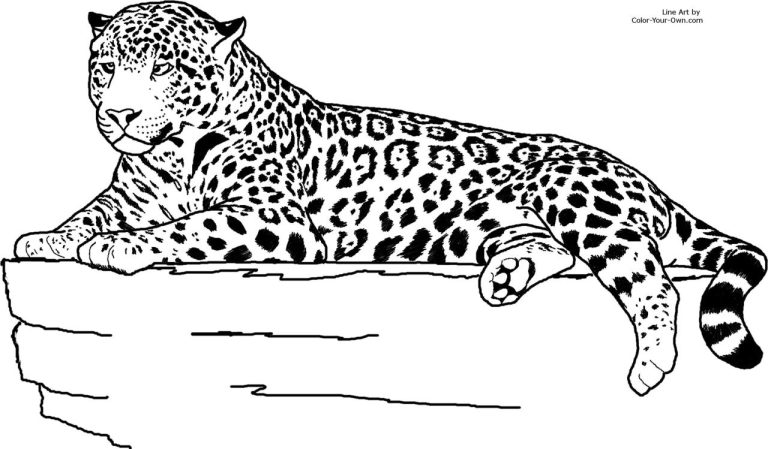 Realistic Animal Coloring Pages