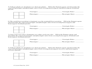 Punnett Square Worksheet Answer Key