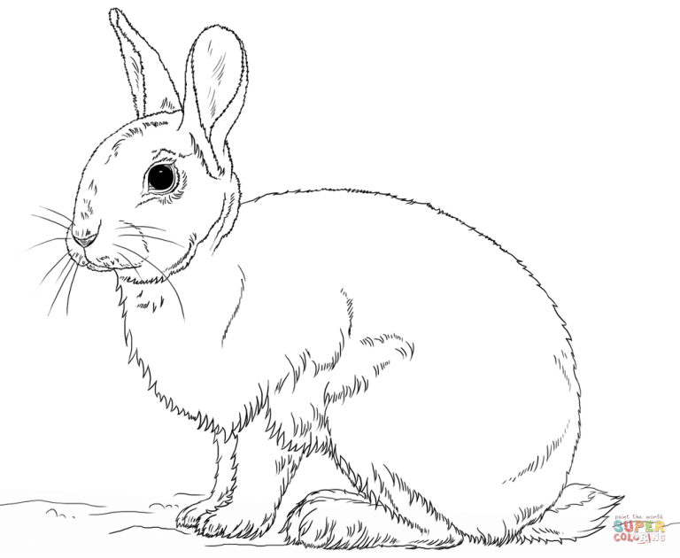 Rabbit Coloring Pages