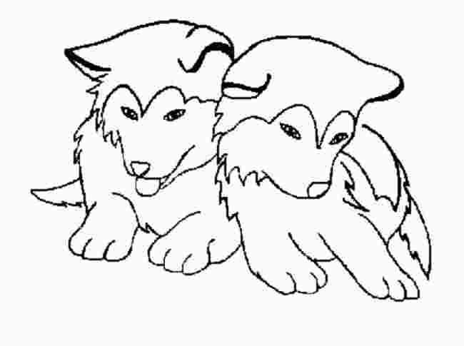 Husky Coloring Pages