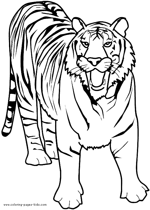 Tiger Coloring Pages