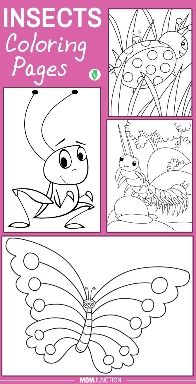 Insect Coloring Pages