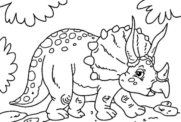 Dinosaur Coloring Books