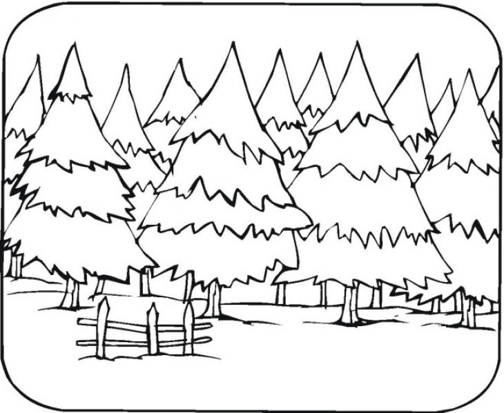 Forest Coloring Pages