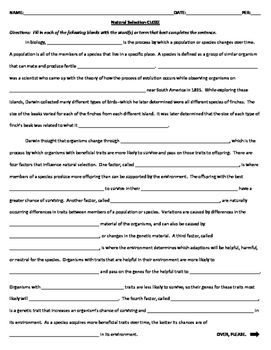 Evolution Worksheet