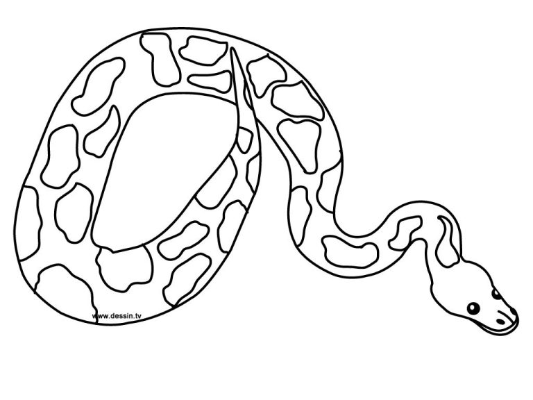 Snake Coloring Pages