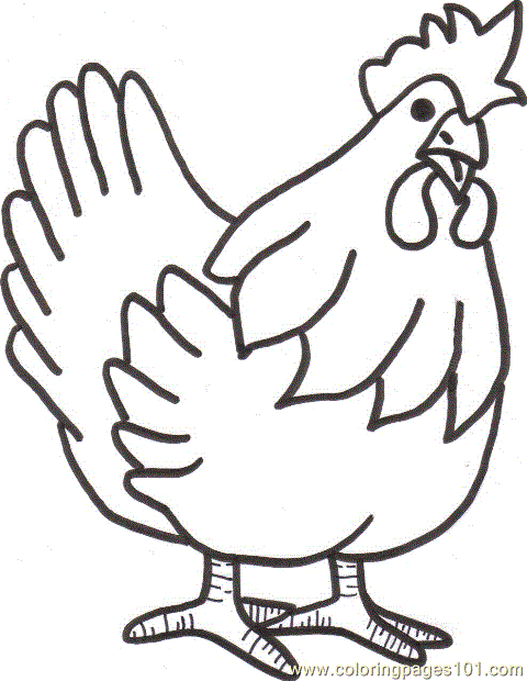 Chicken Coloring Pages