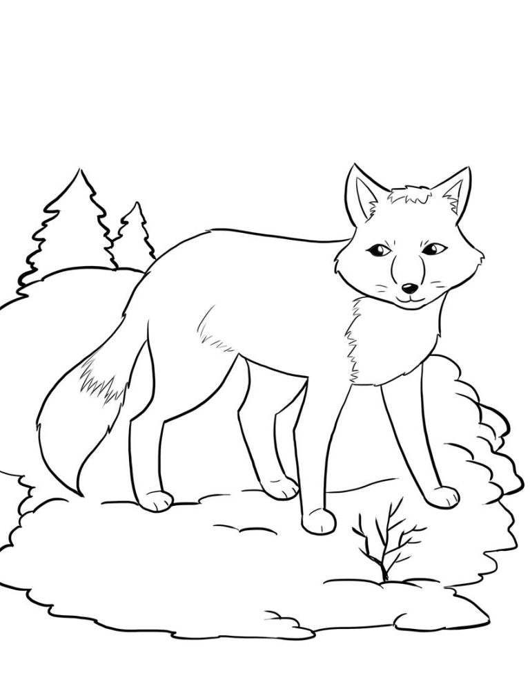 Fox Coloring