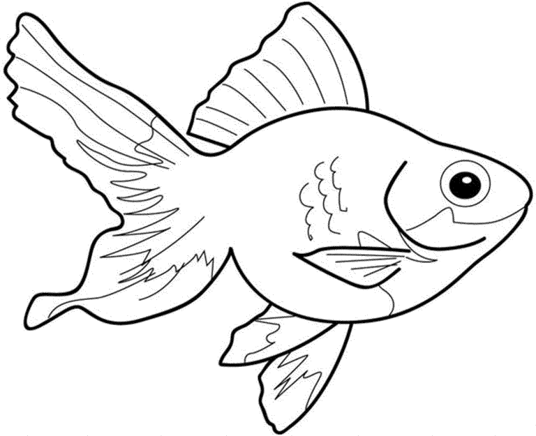 Fish Coloring Pages