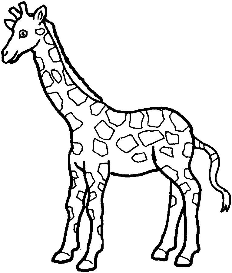 Giraffe Coloring Pages